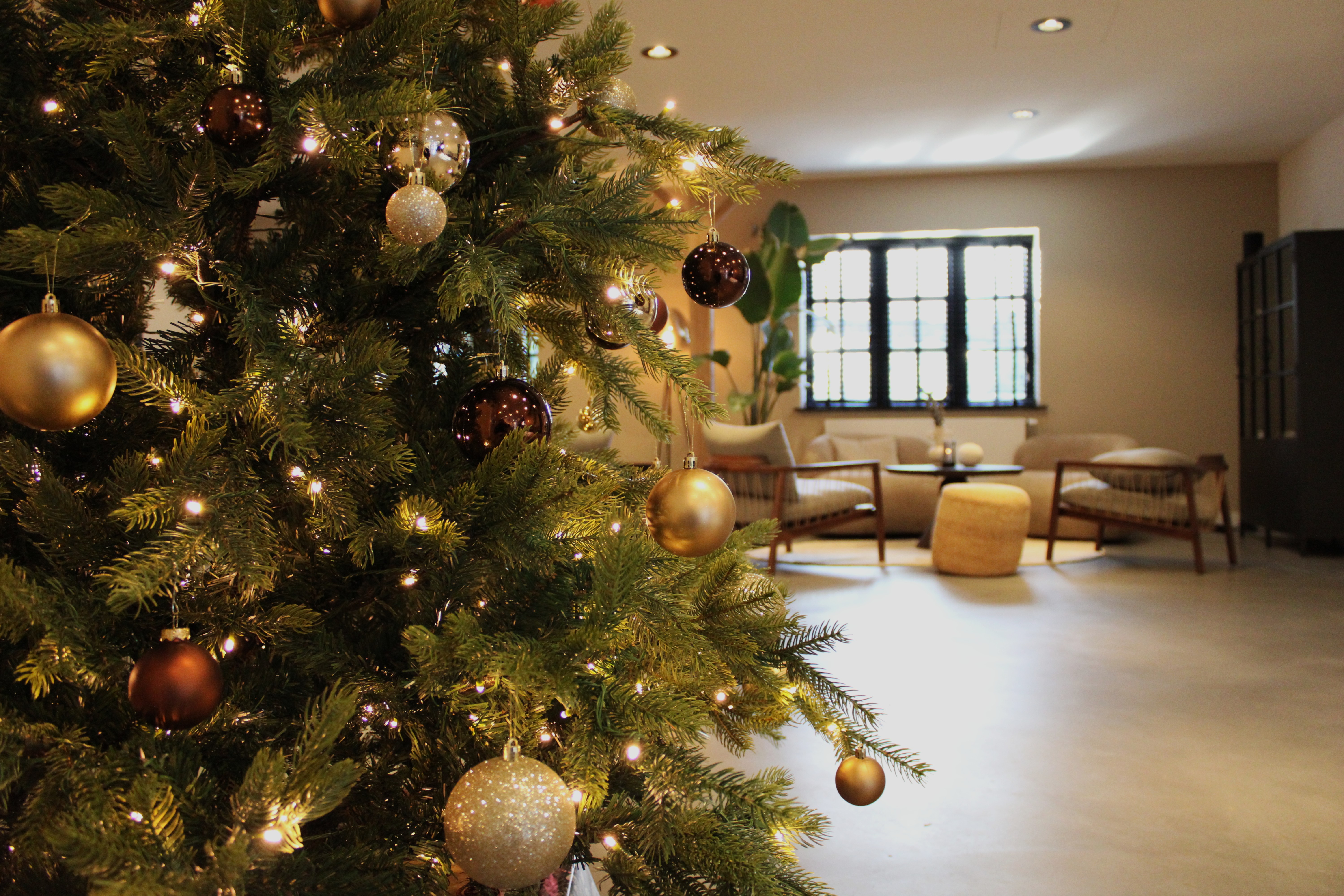 IMG_4968 bewerkt.JPG