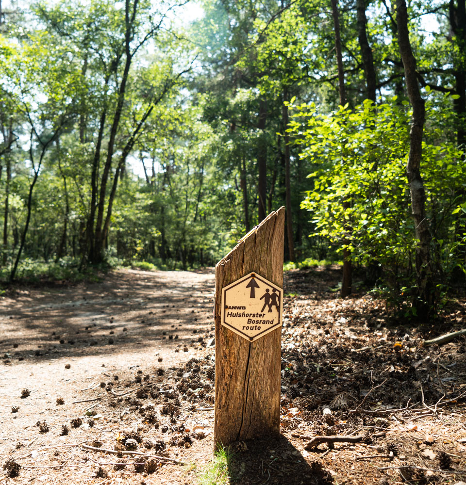 Wandelen op de Veluwe - Veluwe Hotel De Beyaerd (blok).jpg