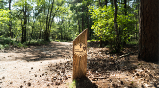 Wandelen op de Veluwe - Veluwe Hotel De Beyaerd (card).jpg