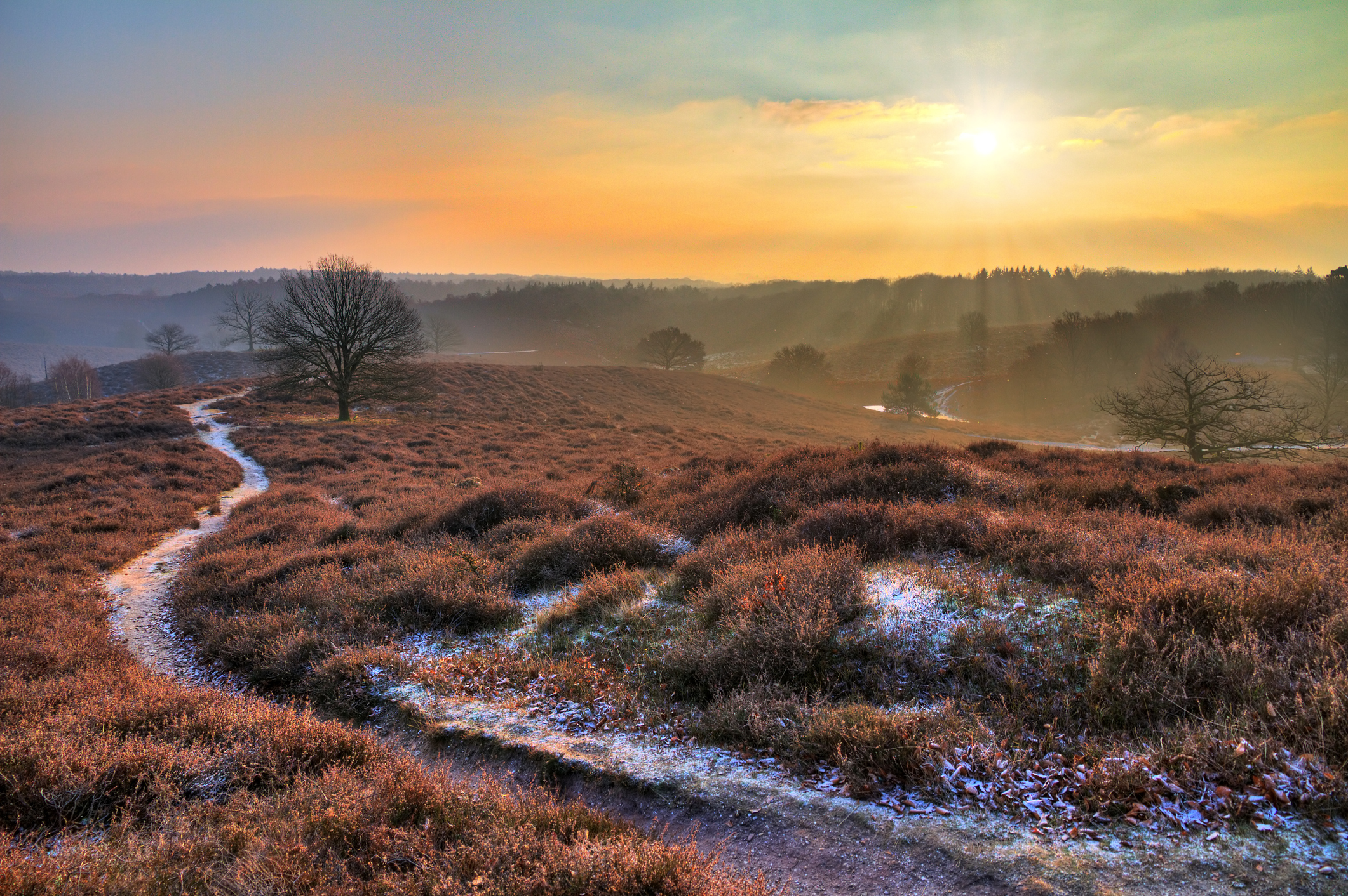 iStock-452474443.jpg